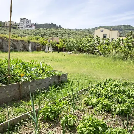 מלון Relais Regina Giovanna 4*