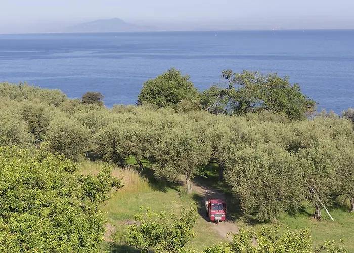 Relais Regina Giovanna מלון