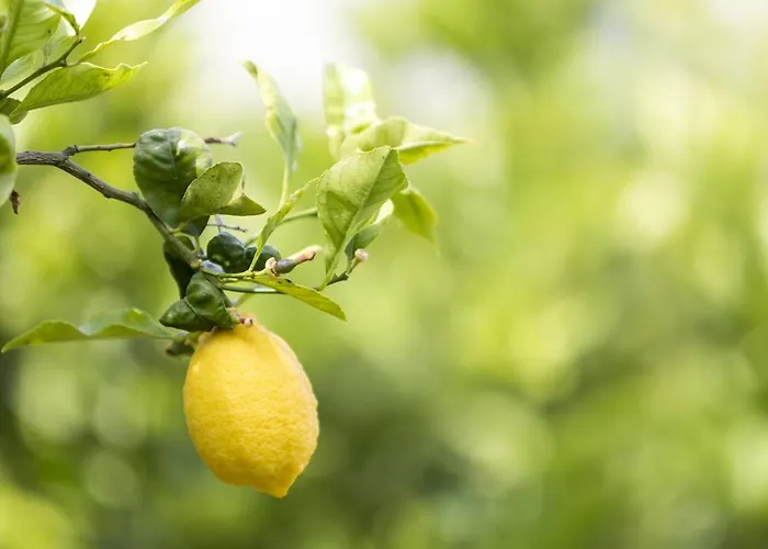 Relais Regina Giovanna מלון 4*