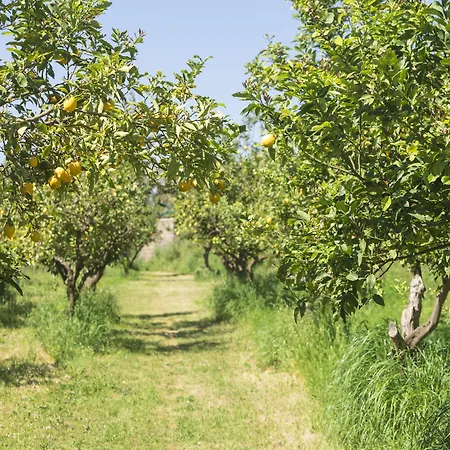 Relais Regina Giovanna Hotel Sorrento