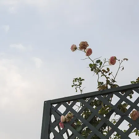 Hotel Relais Regina Giovanna 4*