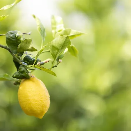 Relais Regina Giovanna Hotel 4*