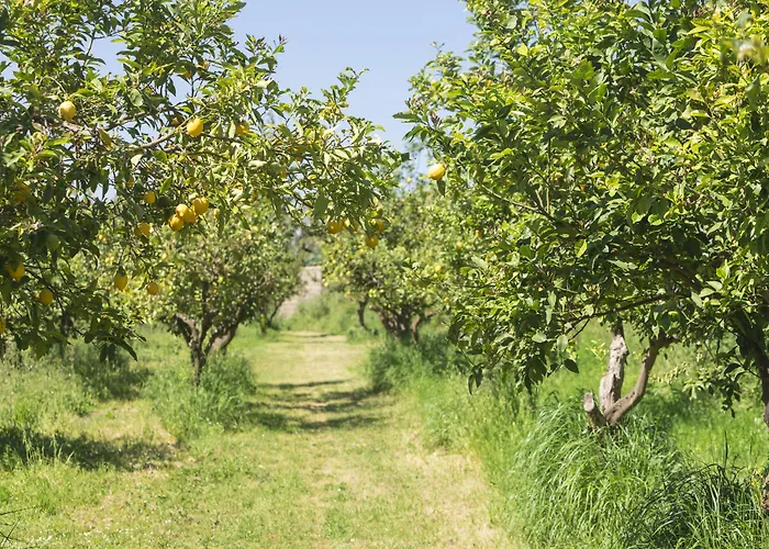 Relais Regina Giovanna Hotel Sorrente