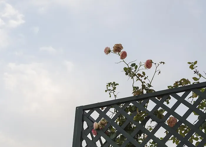 Hotel Relais Regina Giovanna 4*