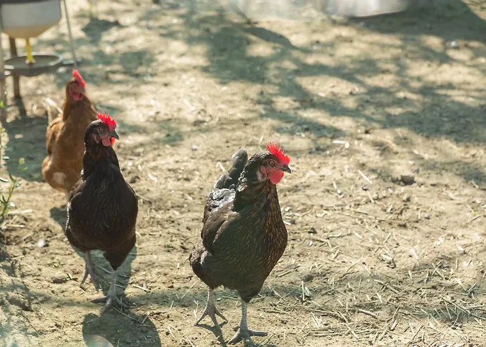 Relais Regina Giovanna Sorrento